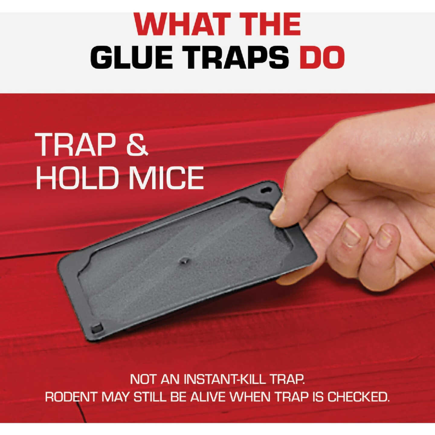 Tomcat Super Hold Glue Traps Mouse Size, Contains 4 Traps - Captures Mice -  Also Used for Cockroaches, Scorpions, Spiders and Many Other Pests (Pack